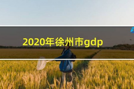 2020年徐州市gdp